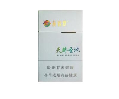 快速红外烟气分析仪